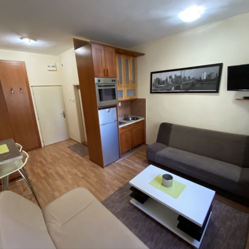 Apartman "Suva ruda" #10