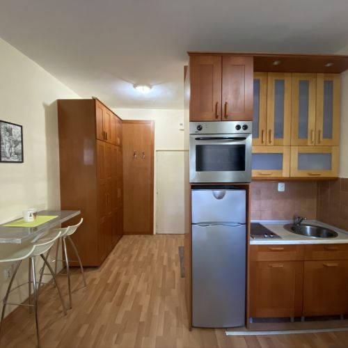 Apartman "Suva ruda" #10