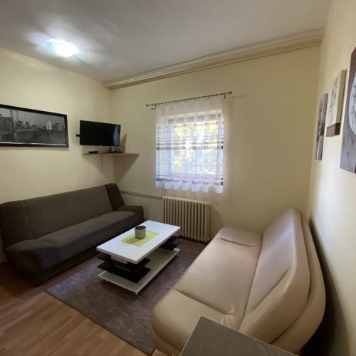 Apartman "Suva ruda" #10