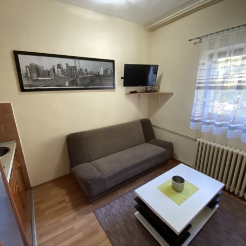 Apartman "Suva ruda" #10