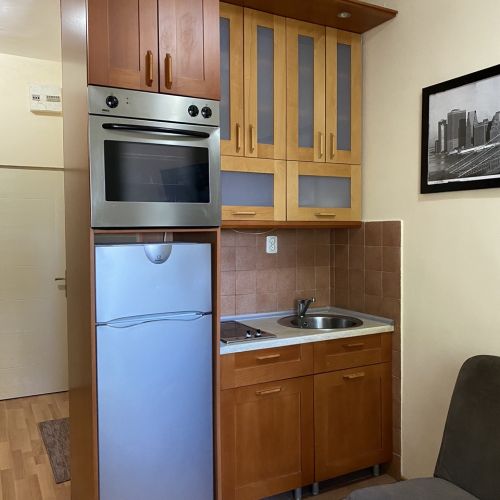 Apartman "Suva ruda" #10