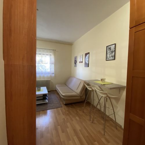 Apartman "Suva ruda" #10